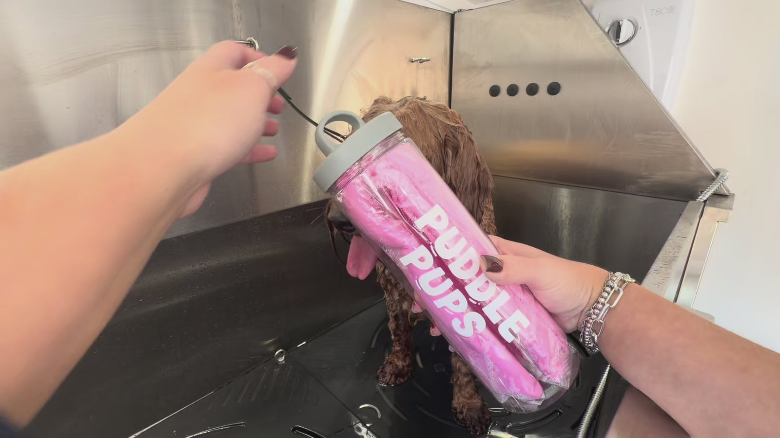 How To Use – Puddle Pups